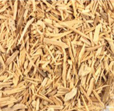 MUIRA PUAMA BARK C/S